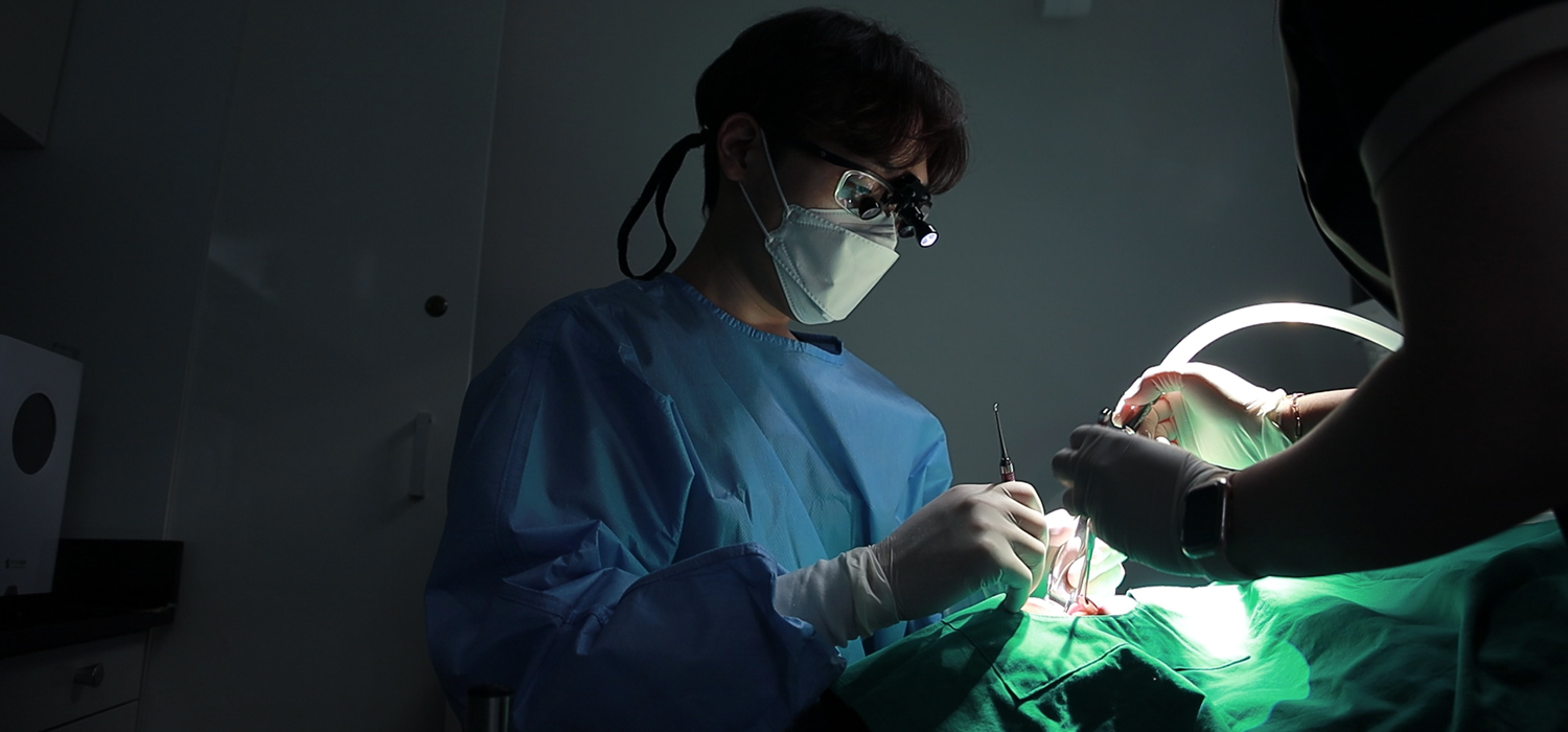 인계동 치과 더에스플란트 조홍재 원장 프로필